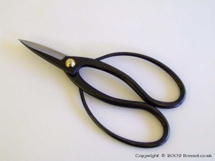 若獅子 Japanese scissors MADE IN JAPAN Wakashishi Bonsai shears 180mm 